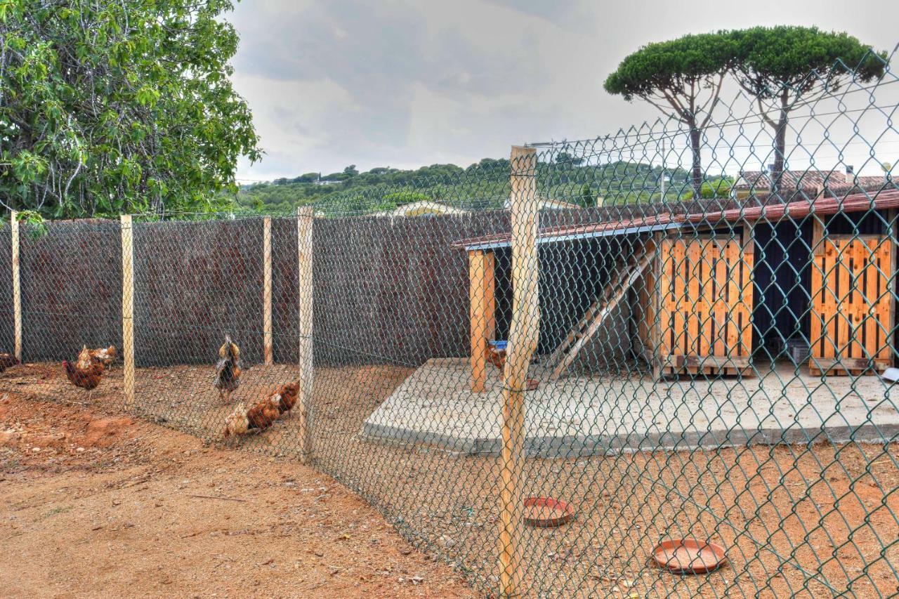 Masia Cal Ros S'Agaró Esterno foto